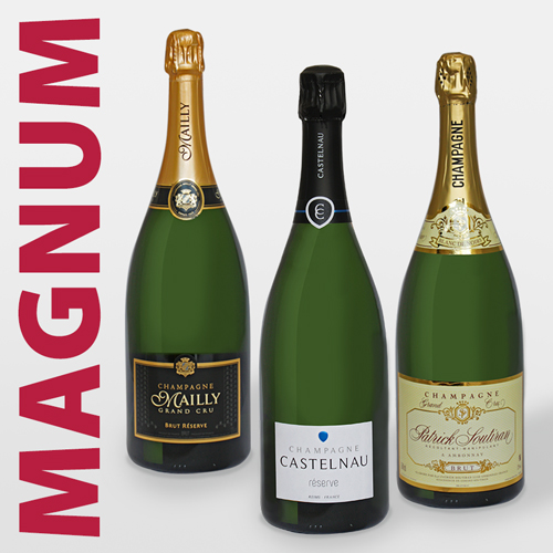 Champagner-Flaschen in Magnum Größe